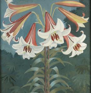 PRESTON Chloë 1887-1969,Lilium Brownii,Bellmans Fine Art Auctioneers GB 2024-02-19