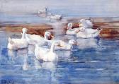 PRIESTMAN C,White Ducks,Rowley Fine Art Auctioneers GB 2008-02-19