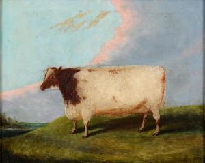 PRIMITIVE SCHOOL,a prize cow in a landscape,Charterhouse GB 2017-04-20