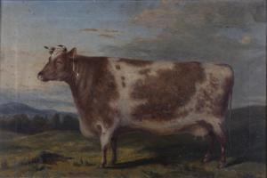 PRIMITIVE SCHOOL,Studies of Prize Cattle,Tooveys Auction GB 2017-12-29