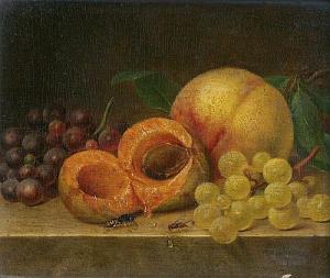 PRINTZ Christian August 1819-1867,Stillleben mit Aprikosen, Trauben, Biene un,1855,Galerie Bassenge 2018-05-31