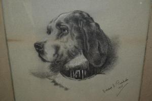 Pritchild,portrait of a dog,1905,Lawrences of Bletchingley GB 2017-10-17