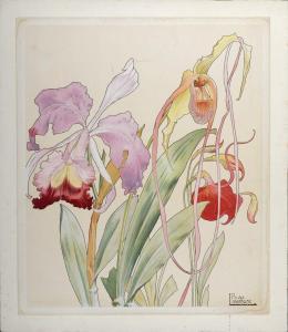 PRIVAT LIVEMONT Henri 1861-1936,Fleurs décoratives : Orchidées,1902,Yann Le Mouel FR 2023-09-10