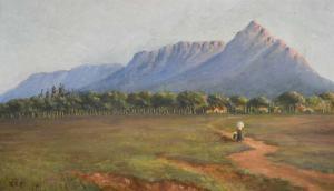 PROWSE Ruth 1883-1967,Devil\’s Peak and Back, Table Mountain, Cape Town,Cheffins GB 2024-01-11