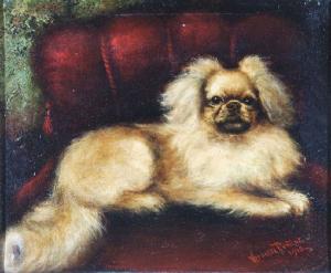 PURDUE Veronese 1800-1900,A golden pekinese seated on a plush red chair,Mallams GB 2006-03-08