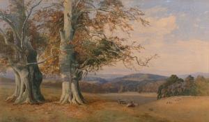 PYNE Thomas 1843-1935,Views of Cowdray Park,1877,Bearnes Hampton & Littlewood GB 2024-01-16