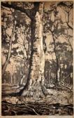 RAGLESS Maxwell Richard Ch 1901-1981,The Forest Giant,1933,Elder Fine Art AU 2011-12-01