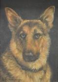 RAMANGE J,Study of a German Shepherd,Fieldings Auctioneers Limited GB 2014-02-08