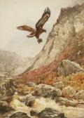 RANKIN Andrew Scott 1868-1942,GOLDEN EAGLE ALIGHTING WITH GROUSE,Sworders GB 2018-04-25