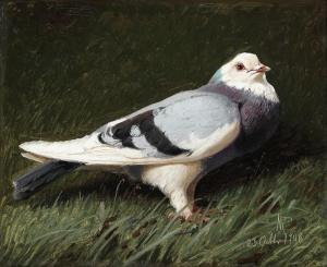 RASMUSSEN Niels Peter 1847-1918,A dove standing in the grass,1908,Bruun Rasmussen DK 2024-03-18