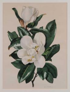 RATHBORNE Jean 1900-1900,Magnolia Blossoms,Brunk Auctions US 2011-07-16