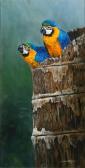 RATNAVIRA Gamini P 1949,Baby Blue and Gold Macaws,1998,Bonhams GB 2011-01-30
