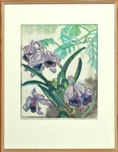 RAUBER Ella 1874-1958,Orchideen,Allgauer DE 2015-04-16
