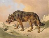 RAUCH DE MILAN Johann Nepomuk 1804-1847,SIBIRISCHER WOLF,1841,Lempertz DE 2013-05-11