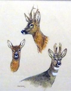 Rawling Brian 1931,Roe Deer Studies,1978,Shapes Auctioneers & Valuers GB 2017-11-04