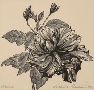 RAWLINSON William T 1912-1993,A set of five botanical woodcuts,Duke & Son GB 2020-03-19