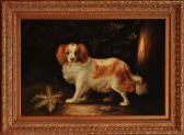 RAY JOHN C. T,STANDINGRED AND WHITE KING CHARLES SPANIEL,Stair Galleries US 2010-06-26