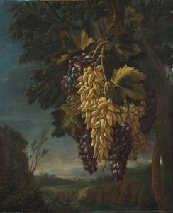 REALFONZO Tommaso Masillo,Tralci di uve bianche e nere en plein air,1743,Minerva Auctions 2014-05-27