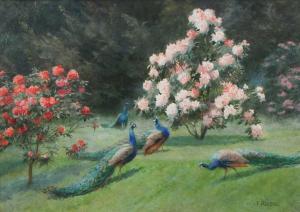 REASON Florence 1800-1900,Peacocks and rhododendrons in a Devon garden,Woolley & Wallis 2024-03-06