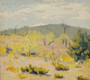 reasoner Gladys Thayer 1886-1945,Desert View,Skinner US 2009-09-11