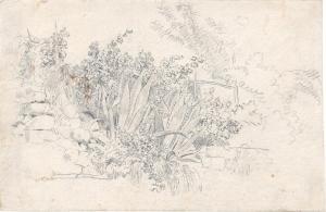 REBELL Josef 1787-1828,Agaven in einem südlichen Garten,Galerie Bassenge DE 2022-06-03