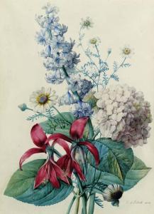 REDOUTE Pierre Joseph,Hydrangea, hyacinths, Saint-Jacques lilies and dai,Christie's 2000-07-04