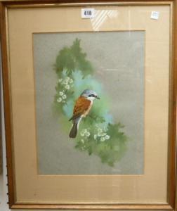 REED BRYAN 1934,Red Backed Shrike,Bellmans Fine Art Auctioneers GB 2012-06-27