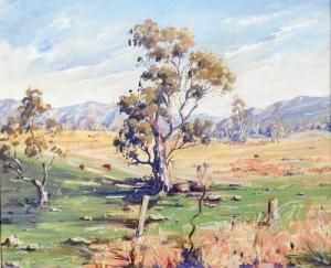 REES Les 1914,Flinders Ranges,Lacy Scott & Knight GB 2010-09-10
