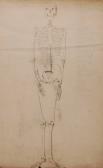 REILLY John Lewis 1857-1866,Study of a skeleton,Burstow and Hewett GB 2007-09-26