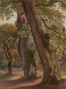 REINHART Johann Christian 1761-1847,Sycamore trees in the park of the Villa Bo,1792,Villa Grisebach 2023-06-01