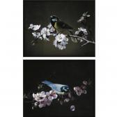 REMILLIEUX Pierre Etienne,BLUE TIT ON A BRANCH OF PLUM TREE IN BLOOM; GREAT ,Sotheby's 2008-01-24