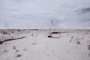 RENHUI ZHAO 1983,Tottori Sand Dune: Blind Series,Christie's GB 2012-11-25