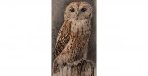 RENNY James 1946,Tawny owl,1982,Mallams GB 2021-03-17