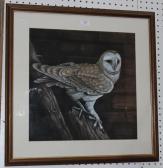 REYNOLDS J,Study of a Barn Owl,Tooveys Auction GB 2014-04-23