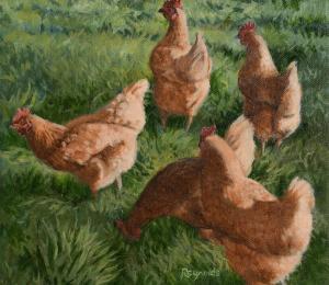 REYNOLDS Mary,Chickens,Morgan O'Driscoll IE 2018-03-12