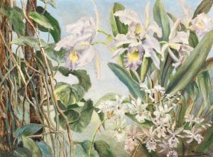 RIBARZ Rudolf 1848-1904,Orchids,Palais Dorotheum AT 2023-09-07