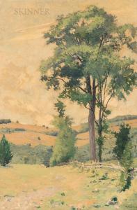 RICE William Morton J 1854-1922,Late Summer Fields,Skinner US 2021-01-22