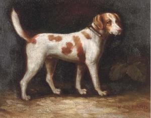 richard k 1900-1900,Portrait of a hound,Christie's GB 2004-11-29