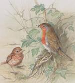 RICHARDS Mollie,Robin and chick,Burstow and Hewett GB 2016-09-21