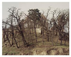 RICHARDSON CLARE 1973,Untitled III (from SYLVAN series),2002,Christie's GB 2023-07-05