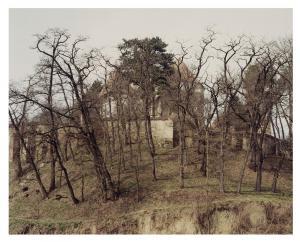 RICHARDSON CLARE 1973,Untitled III (from SYLVAN series),2002,Christie's GB 2022-10-19