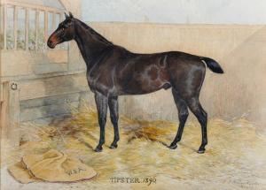 RICHARDSON H 1900-1900,Tipster,1890,John Nicholson GB 2017-02-01