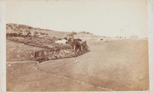 RICHARDSON James R 1900-1900,Whitebrook, Green House, Dunedin,Webb's NZ 2022-09-29