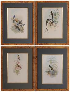 RICHER Gould,Four hummingbird,1849,Brunk Auctions US 2015-07-16