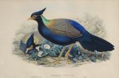 RICHER Gould,The Birds of Asia,1850,Bonhams GB 2012-11-11