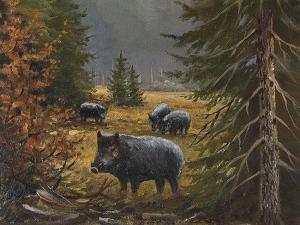 RICHTER W,"Boar with Sounder",Auctionata DE 2015-01-29