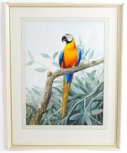 RICKMAN Philip 1892-1982,Blue and Yellow Macaw,Claydon Auctioneers UK 2023-12-30