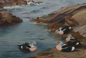 RICKMAN Philip 1892-1982,King Eider ducks feeding on the sea shore.,1960,Bonhams GB 2006-08-02