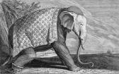 RIDINGER Johann Elias 1698-1767,Elefant,Galerie Bassenge DE 2007-11-29