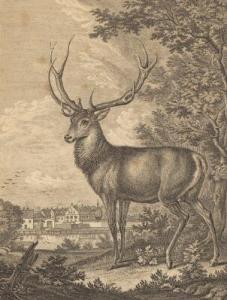 RIDINGER Martin Elias 1730-1781,Compositions with deer,Bruun Rasmussen DK 2019-01-07